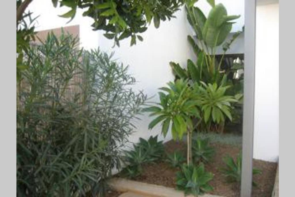 Casa Esparto Rodalquilar Ngoại thất bức ảnh